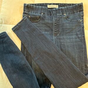 Liverpool Women's Dark Blue Jeggings